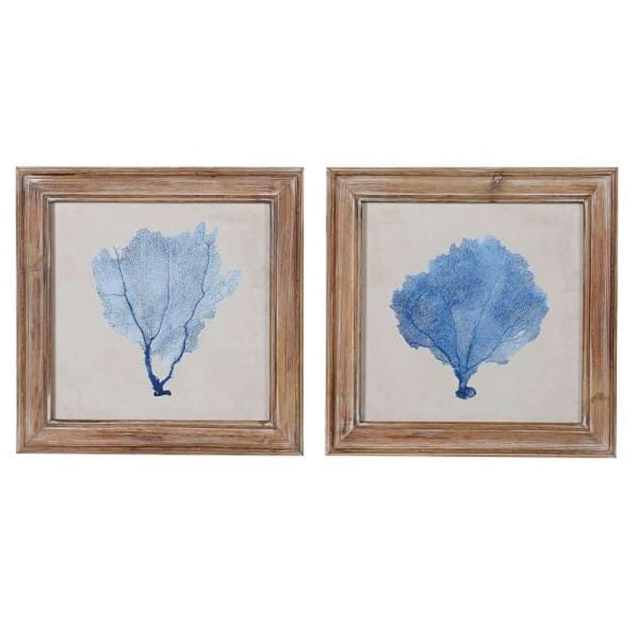 Set of 2 Blue Coral Pictures.